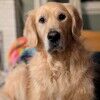 kms569
